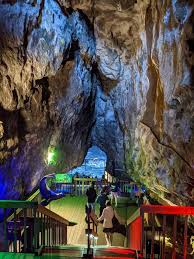 Hours, address, sea lion caves reviews: Sea Lion Caves Home Facebook