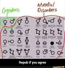 On Sexual Orientation And Gender Identity Pelican Parts Forums