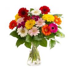 Check spelling or type a new query. Flower Delivery Duisburg Online Florist Duisburg