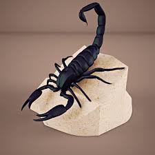 3ds Max Scorpion 3d Model Scorpion 3d Model Model