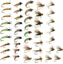 Caddis Trout Fly Fishing Flies Collection 42 Flies Fly Box