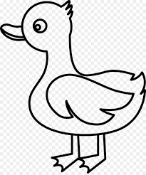 Hantu langut ular mulut itik dan tenggelung fiksyen shasha. Ente Cygnini Clip Art Ente Png Herunterladen 1560 1856 Kostenlos Transparent Vogel Png Herunterladen
