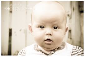 sarah mickel photography