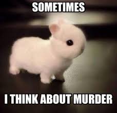 The 30 Best Bunny Rabbit Memes - Hop to Pop