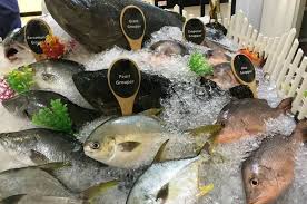 Ikan dapat hidup di air tawar, air payau, maupun air laut. Mengapa Rakyat Malaysia Lebih Gemar Makan Ikan Laut Berbanding Ikan Ternakan News Rojak Daily