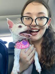 Connor and Millie's Dog Rescue CMDR