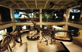 Hall Of Paleontology At The Houston Museum Of Natural Science Houston Museum Houston Attractions Visit Houston