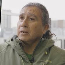 Quién fue Vicente Cau Cau, el niño que fue criado por pumas en el sur de  Chile