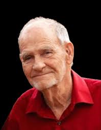 Obituary for Nelson Harmon Free