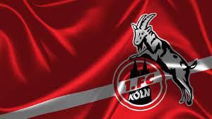 Skip to content | skip to navigation. 1 Fc Koln Wallpapers Wallpaper Cave