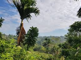 Mau tau apa saja tempat wisata di sukabumi yang wajib dikunjungi untuk liburan kamu selanjutnya? Kalaparea Nagrak Cibadak Sukabumi