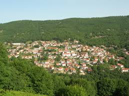 Όλες μας οι κινήσεις είναι. Drosophgh Flwrinas