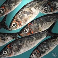 Big Fishes Turquoise Photo Dessin Peinture Animaux