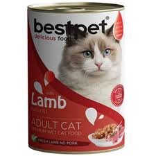 En Iyi Kedi Mamasi Markalari