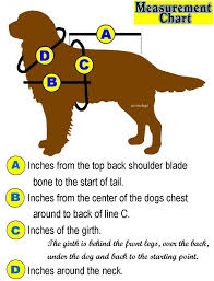 Measure Charts