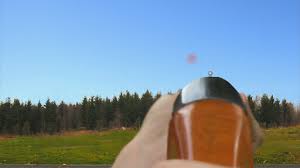 Combine that with rapid clay targets or maybe … Appkiwi Logo Appkiwi Games Sports Clay Hunt Free Clay Hunt Free Version 4 1 2 Shotgun Gaming Oy Score 4 3 Starstarstarstarstar Estimated Installs 1 000 000 1 Shotgun Shooting Game Praised By Trap And Skeet Shooters All Around The World