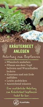 Krauterbeet Anlegen Standort Sortenwahl Anleitung Krauterbeet Krauter Anpflanzen Krauterbeet Anlegen