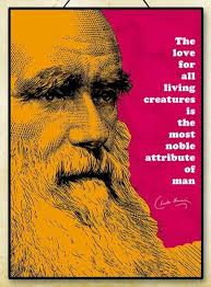 Pin By Pahleeloola On Pahleeloola Design Charles Darwin Quotes Darwin Quotes Quote Posters