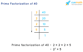 Some of the worksheets displayed are factors and factorization, name prime factorization, factoring work, prime and composite, math mammoth grade 6 b worktext sample. Prime Factorization How To Find Prime Factorization Of Numbers