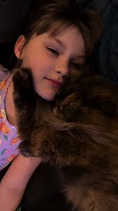 Help my heart has dissolved. #catsoftiktok