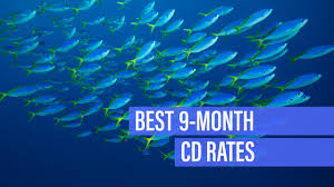 best 9 month cd rates december 2019 bankrate