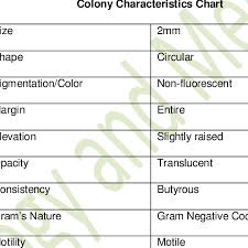 Colony Characteristics Chart Download Table