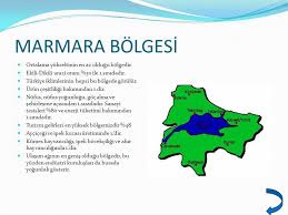 Karadeniz bölgesi'nin yer şekillerini genel olarak kuzey anadolu dağları oluşturur. Turkiye Nin Cografi Bolgeleri Ppt Video Online Indir