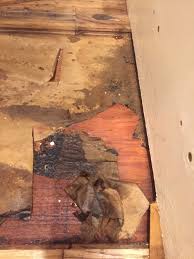 Maybe you would like to learn more about one of these? Replacing Under Sink Kitchen Cabinet Floor