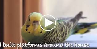 Flipboard Stories From 28 875 Topics Personalized For You