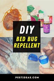 If you've ever considered making diy bed bug traps, you aren't alone in your thought process. Diy Bed Bug Repellent Tips Bed Bugs Rid Of Bed Bugs Bed Bugs Essential Oils