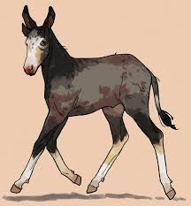 Pin By Kitten Juggler On Fallout Animals Horses Moose Art