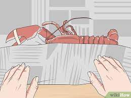 3 Ways To Store Live Lobster Wikihow