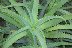 Na usnama mogu nastati promjene u veličini, boji i površini. Koliko Traje Modrica Na Usni Modrica Sto Je To Koliko Dugo Cete Morati Hodati S Njima