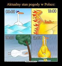 Ładną mamy jesień tej wiosny... Zobacz najlepsze memy o tym, co dzieje się  za oknem - Dziennikzachodni.pl