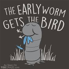 The Early Worm Gets The Bird T Shirt Animal Tshirt Funny Kids Kids Tshirts