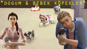 Ciglik Icerir The Sims 4 Cats Dogs Oynuyoruz 3 Bolum Ciftlesme Dogum Ve Bebek Kopekler Youtube