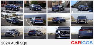 Image result for Waitomo Blue 2023 SQ8