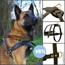 Harnais Norvegien Pour Chien Pulling Harnais Chien Chien Harnais