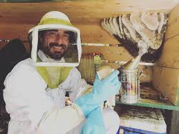 We remove bees from residential and commercial structures. Beecasso Live Bee Removal