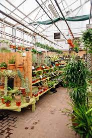 Cacti And Succulent Greenhouse Greenhouse Garden Center Cacti And Succulents