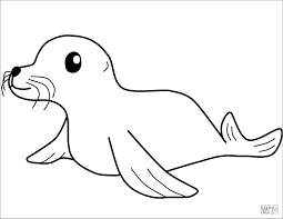 See our coloring sheets collection below. Baby Seal Coloring Page Coloringbay