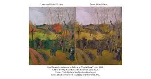 See full list on verywellhealth.com Enchroma Glasses Enable Color Blind Visitors To Experience Nelson Atkins Museum Of Art In Vibrant Color Business Wire