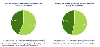Die damalige bundesregierung (kabinett kohl ii) sprach sich gegen eine gesetzliche pflegeversicherung aus. Pflegeversicherung Private Und Gesetzliche Vorsorge R V