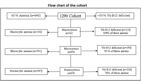 vitamin b12 and folate deficiency major contributing