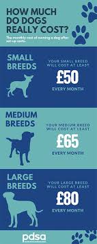 Prices and services shown below are for your clinic. The Cost Of Owning A Dog Pdsa