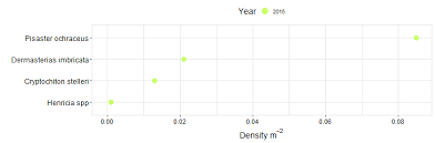 It is a gently sloping beach with a pristine dune system, alive with native coastal vegetation and a number of resident gopher tortoises. Palmers Point Biodiversity Survey Findings Marine