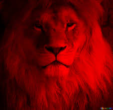 All information about qd red lions (league two c) current squad with market values transfers rumours player stats fixtures news. Kostenloses Bild Herunterladen Red Lion Portrait Auf Cc By Lizenz Torange Biz Fx 117859
