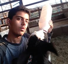 Phi Theta Kappa holds induction ceremony