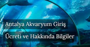 Antalya Akvaryum Giris Ucreti Ne Kadar Nerede Hakkinda Bilgiler