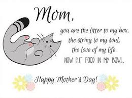 Happy Mother S Day From Your Kitty Mothers Day Poems Cat Poems Cat Care